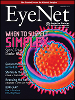January 2013 EyeNet Cover