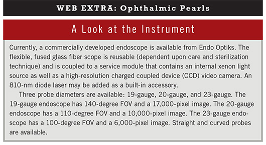 June 2013 Ophthalmic Pearls Web Extra