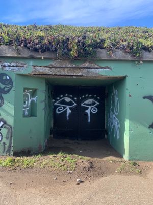 Graffiti of two stylized human eyes on the metal doors of a concrete bunker. The graffiti is in white spray paint, the metal doors are black, and the bunker is pained green. Succulent plants grow on the top of the bunker, and the bunker appears lightly worn and aged.