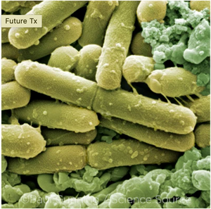 A magnified image of bacteria. They are long green rods, and they are surrounded by other small green structures. The image label reads: Future TX.