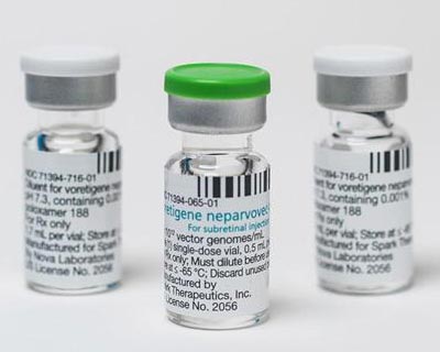 A vial of Spark Therapeutic's Luxturna gene therapy drug for inherited retinal disease is seen alongside vials of a compound used to dilute the drug for treatment.