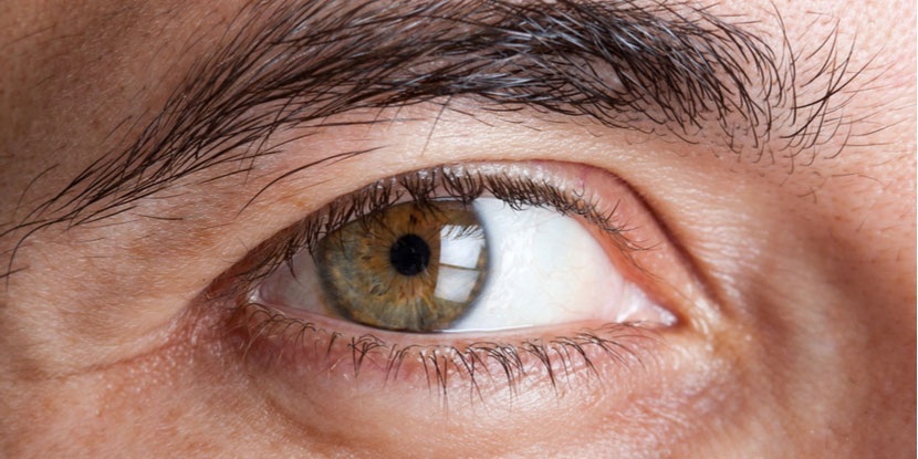 Imagen de primer plano del ojo verde de un hombre adulto. Conozca los síntomas de la degeneración macular relacionada con la edad.