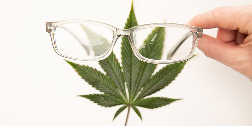 Eye glasses resting on top of a marijuana leaf.