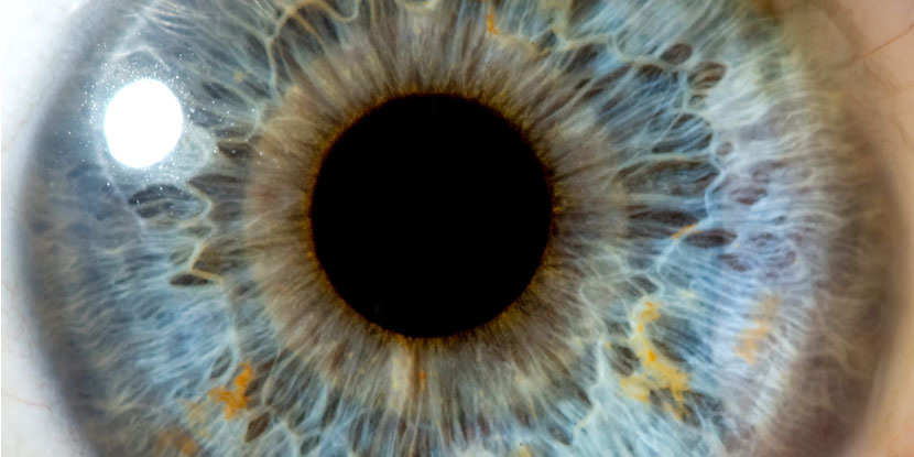 Acercamiento a un ojo azul con la pupila en el centro.