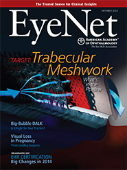 October 2013 EyeNet Cover