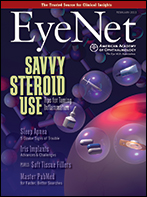 February 2013 EyeNet Cover