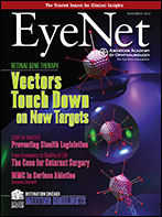 November 2012 EyeNet Cover