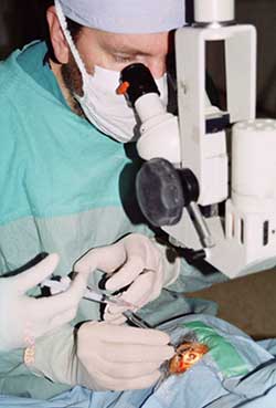 Dr. Kietzman examining a patient in Gilgit, Pakistan.