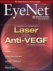 EyeNet February 2014 cover image