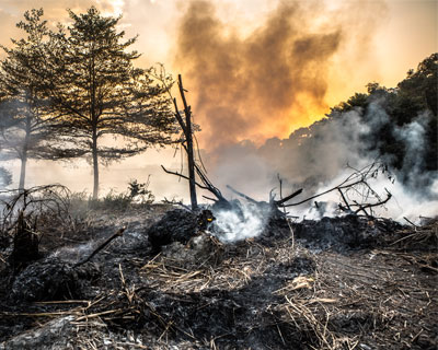 Burned landscape with scorched grass and trees and smoke rising into the sky