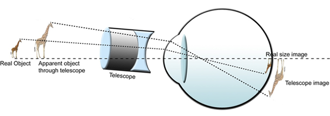 Optical Principles of the Magnifying Glass