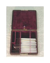Twelve small surgical tools with white handles sit in a hinged case lined with red velvet.