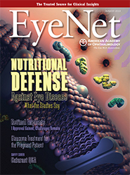 August 2013 EyeNet Cover