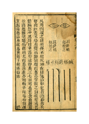 A faded page from a book. The paper is beige and there is a water stain in the top right hand corner. The left half of the page has lines of Chinese characters, and the right side of the page has a drawing of almond-shaped human eyes and five long needles.