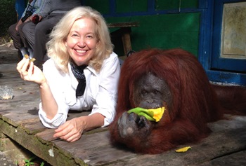 Dr. Anne Sumers with orangutan.