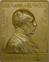 A gold-colored metal plaque with a man's face in profile on it. The man looks towards the right, and he has a receding hairline and a mustache. There is an image of a laurel wreath across the bottom, and Roman numeral numbers across both sides. The top of the plaque reads: Hermann v. Helmholtz.