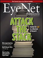 April 2013 EyeNet Cover
