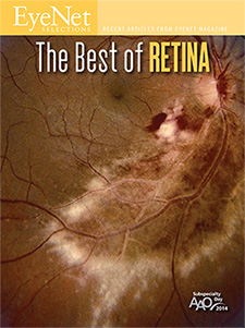 EyeNet Selections: Best of Retina