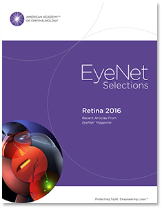 EyeNet-Selections: Retina 2016