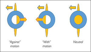 Reflex Motions in Retinoscopy
