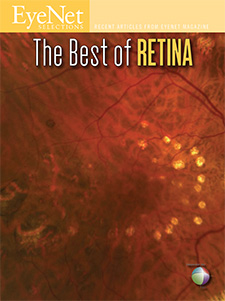 EyeNet Selections: Best of Retina 2013