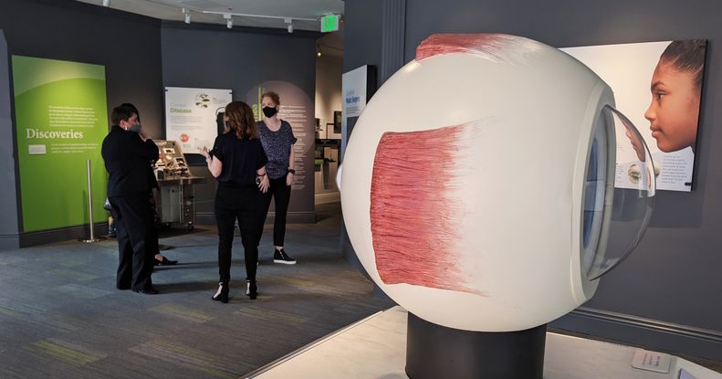 A large model of a human eyeball sits in a museum gallery. The eyeball is white with a red structure on the side and top mimicking muscles. It sits in front of a sign with a picture of a young, Black girl. Three women stand in the background with their backs to the camera, and they seem to be having an animated conversation with their hands. They stand in front of a green sign that reads: Discoveries.