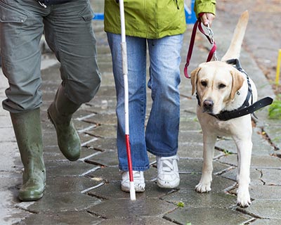 Blind person walking with service dog and cane