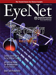 September 2013 EyeNet Cover